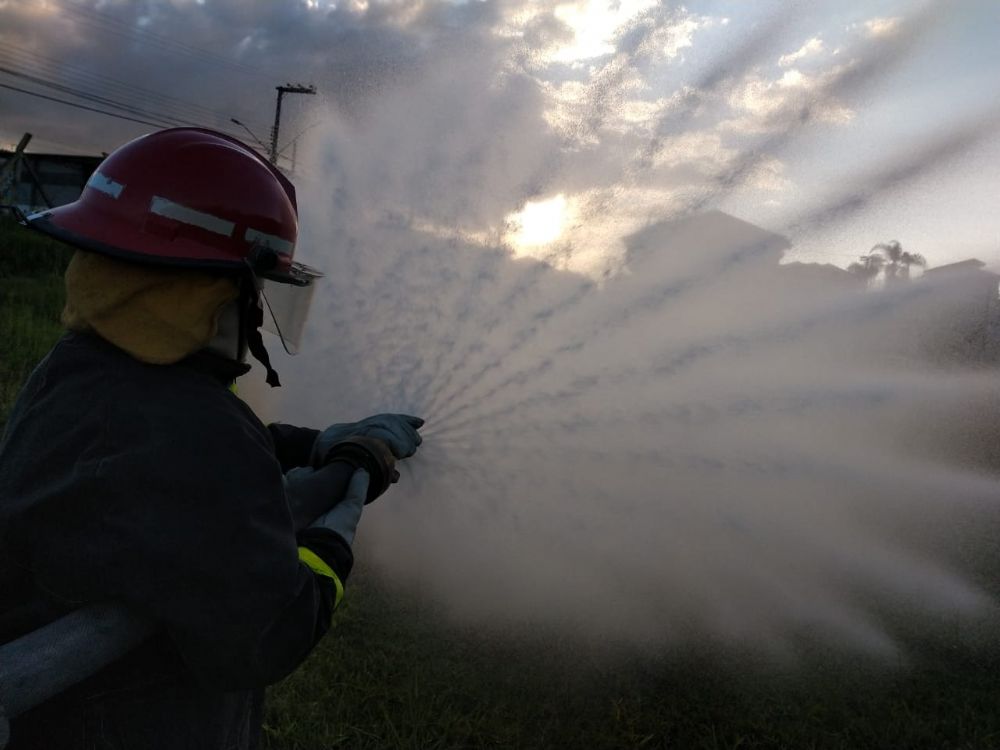 jqm7hu8miaw3_ZEN 2020 (12).jpg